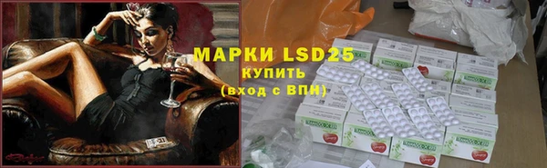 бошки Осинники