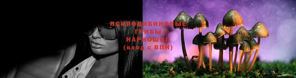 СК Остров