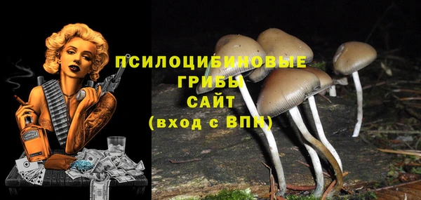 прущая мука Осташков