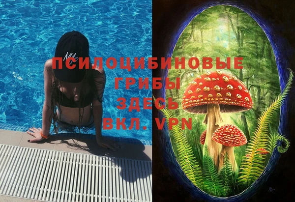 бошки Осинники